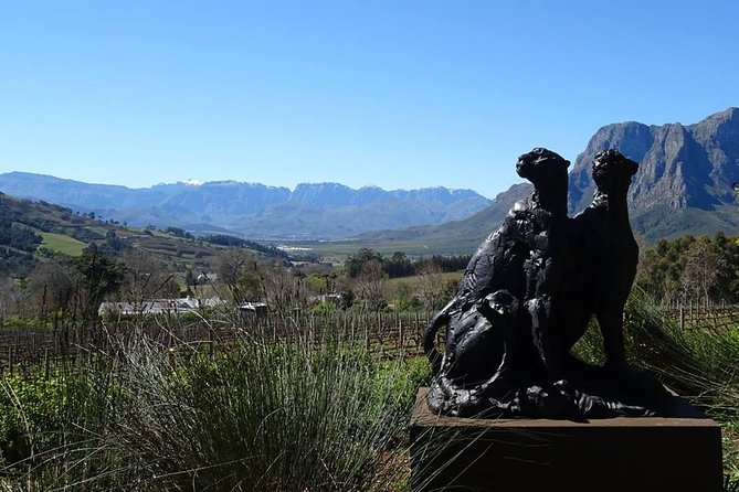 Private Wine Tour with Wine Expert to Stellenbosch-Franschhoek Wine Regions - Four wineries, one private vehicle, and room to change course
