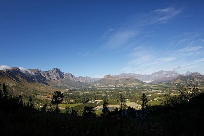 Private Wine Tour with Wine Expert to Stellenbosch-Franschhoek Wine Regions - Lunch is not included, so plan the middle of the day
