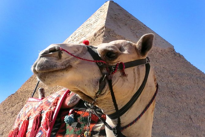 Pyramids of Giza, the Sphinx, the Egyptian Museum. - Should You Book This Cairo Tour?