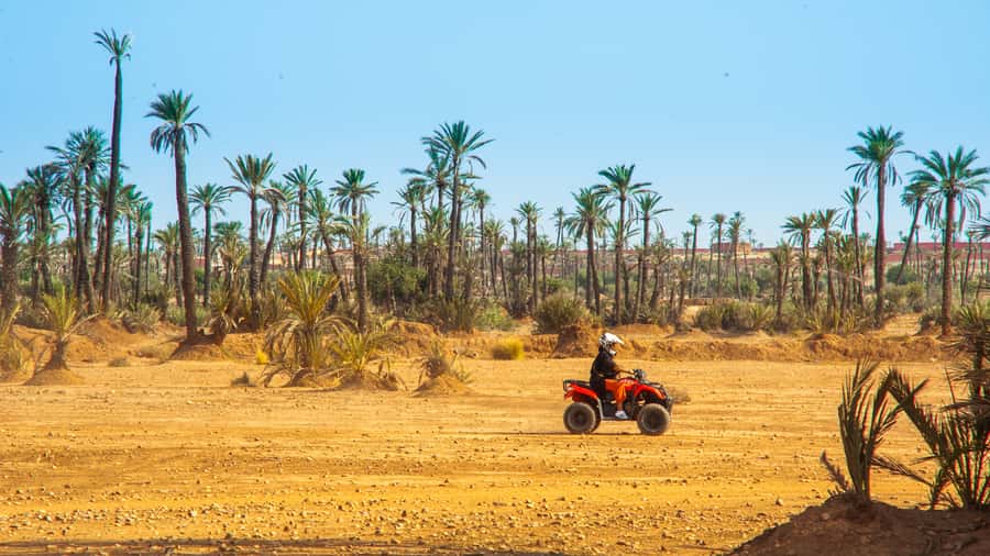 Quad Bike Activity in Marrakech Palmeraie - Should you book the Palmeraie quad-bike activity?