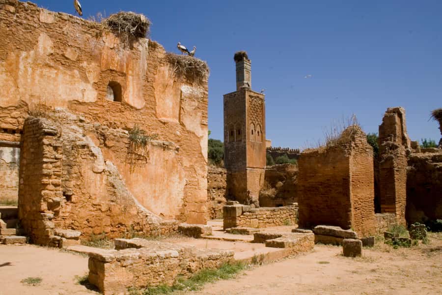 Rabat: Full-Day Trip from Casablanca - How Much Guiding You Should Expect