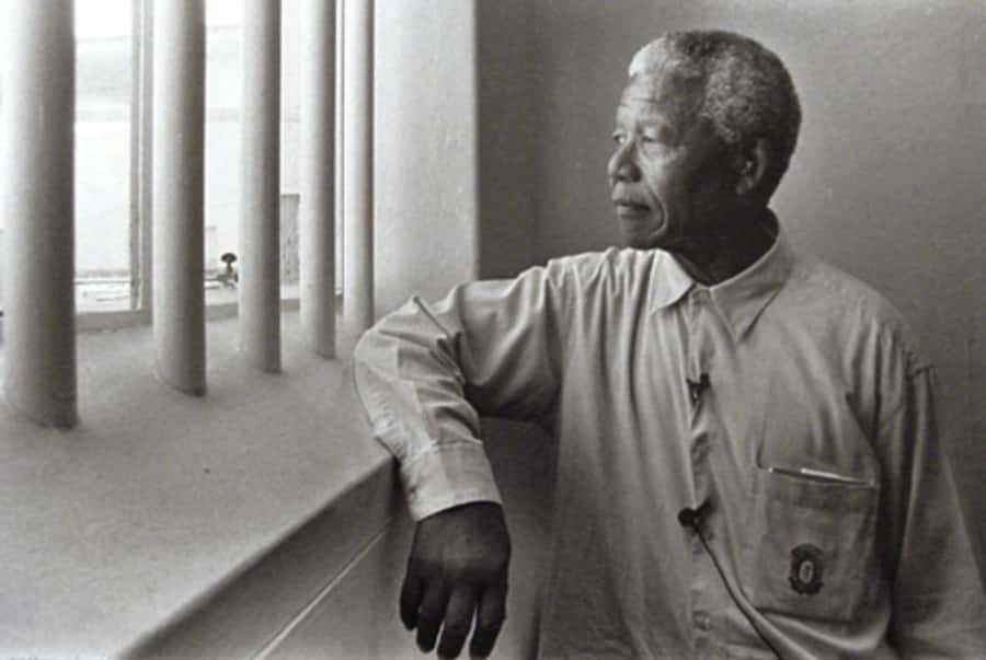 ROBBEN ISLAND MUSEUM TOUR, WITH OPTIONAL LAST MINUTE TICKETS - Arriving on the island and boarding the tour bus