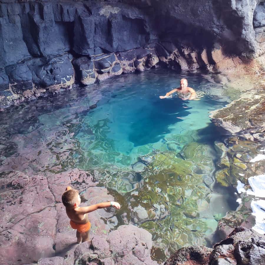 Sal: Island Experience Tour with a Certified Local Guide - Shark Bay and the lemon shark encounter