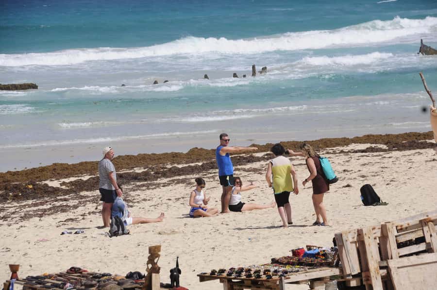 Sal Rei: Boa Vista Island Full-Day North to South Discovery - Key points at a glance
