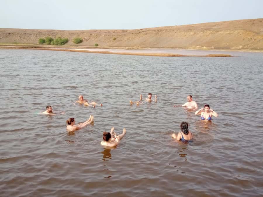 Sal: Salt Lake Tour, Shark Bay and Pedra de Lume Village - Shark Bay puts lemon sharks within easy reach