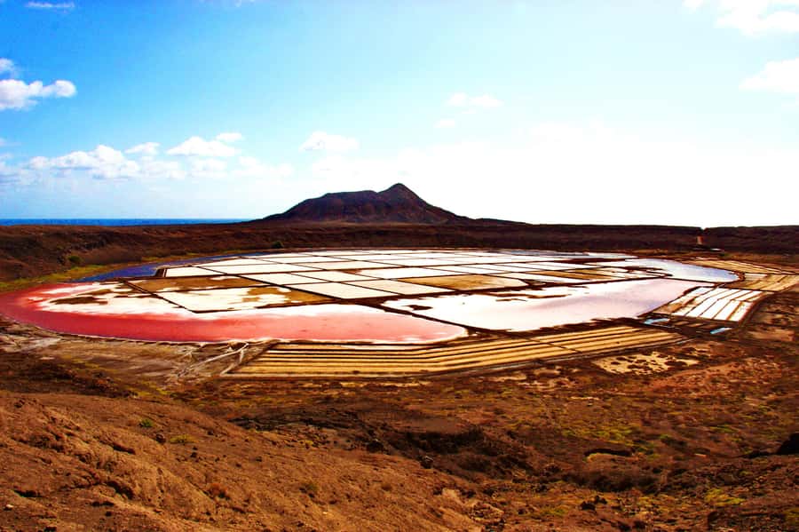 Sal: Salt Lake Tour, Shark Bay and Pedra de Lume Village - What the $36 price really covers