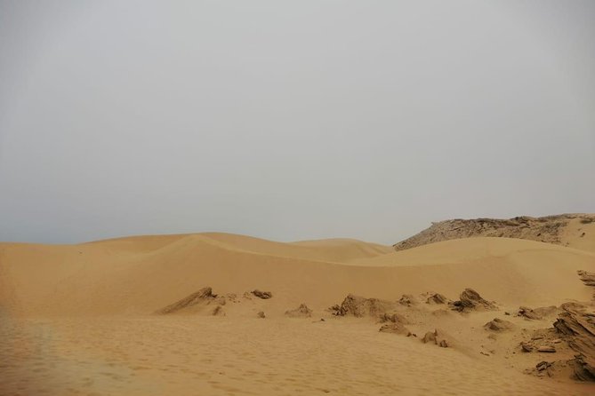 Sandboarding guided experience from Agadir - From Agadir to Tamri with coastal stops