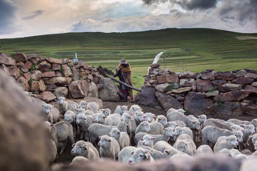 Sani Pass Day Tour from Underberg - The descent, weather, and changing views
