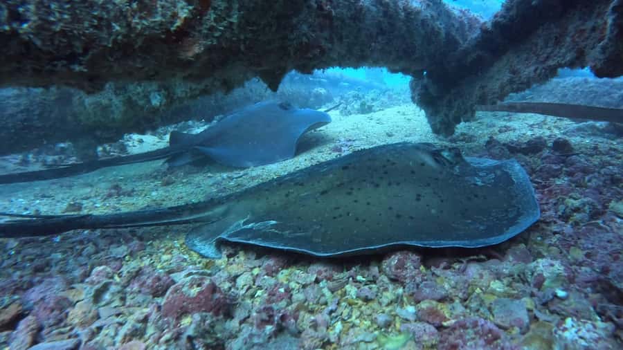 Santa Maria: Guided Snorkeling and Reef Tour - How long the two hours really feels