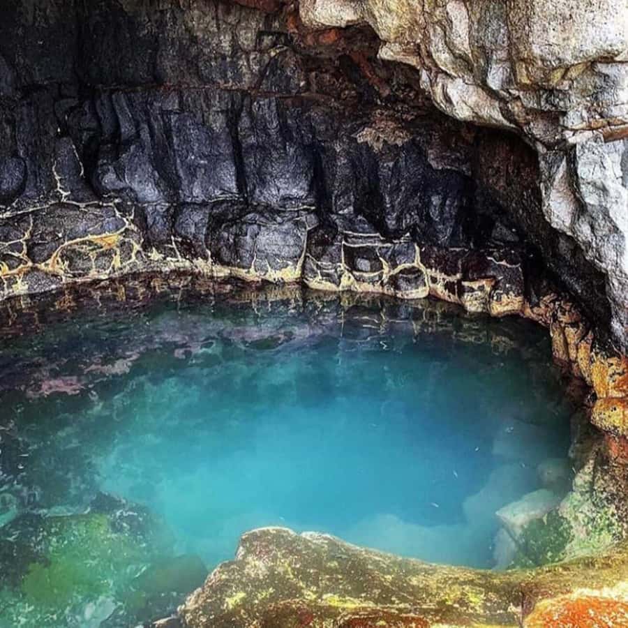 Santa Maria: Salt Mine, Natural Pool, and Shark Bay Tour - Guides, languages, and the human side of the day