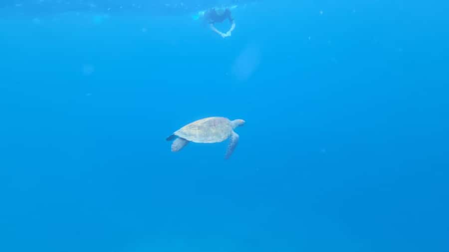 Santa Maria: Snorkeling Boat Tour - What happens at the Caldeirinha shipwreck