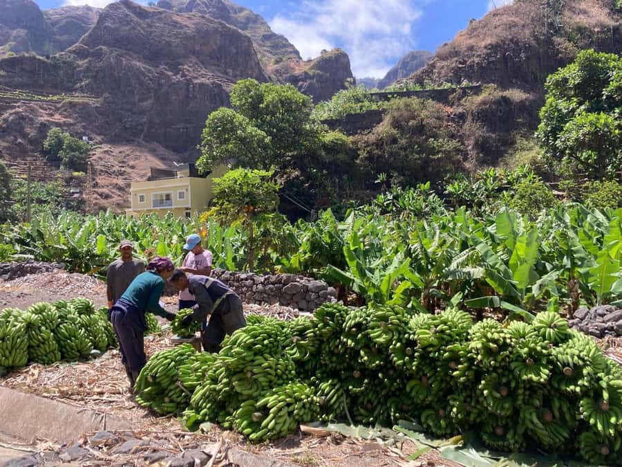 Santo Antão Highlights: Day Trip by Car with Ferry from SV - Why this day trip works for a first look at Santo Antão