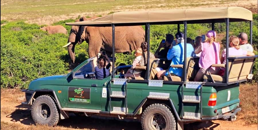 Schotia Safaris: Best Wildlife Encounters in Port Elizabeth - Leaving Port Elizabeth for Schotia