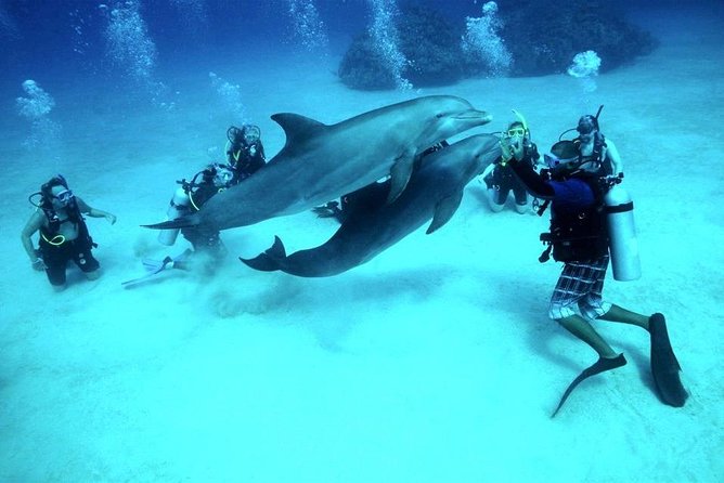 Scuba Diving Full Day Boat Trip for beginners With Lunch & Transfer – Hurghada - Equipment and safety: the part to check carefully