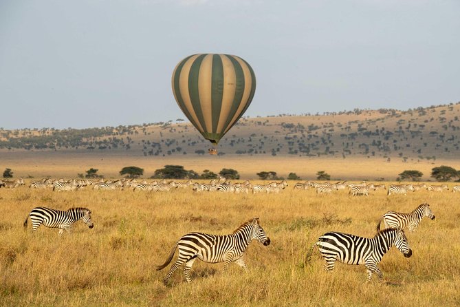Serengeti Balloon Safari and authentic bush breakfast - Four launch areas and how the seasons affect your choice