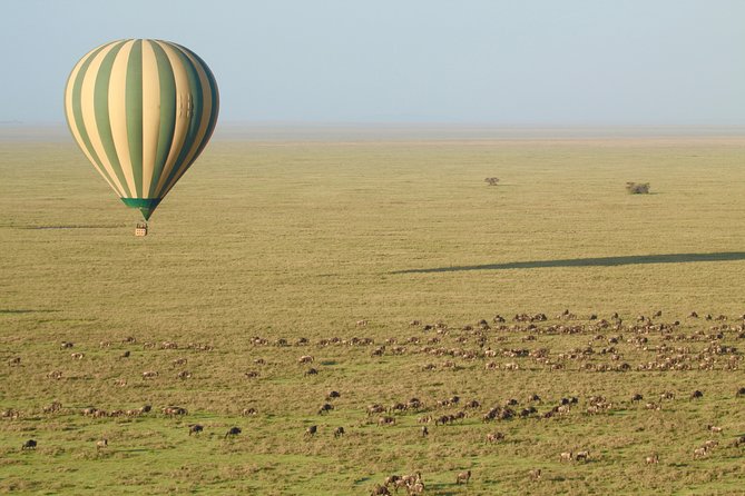 Serengeti Balloon Safari and authentic bush breakfast - Practical advice for getting the most from the flight