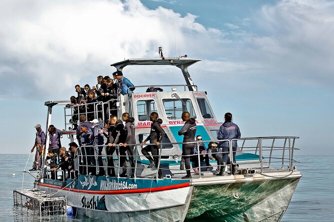 Shark Cage Diving and Viewing with transport from Cape Town - Who will enjoy this most