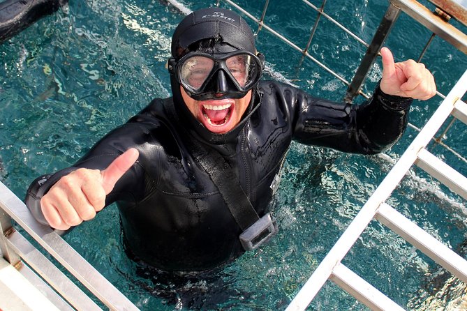 Shark Cage Diving and Viewing with transport from Cape Town - The road to Gansbaai and the Great White House