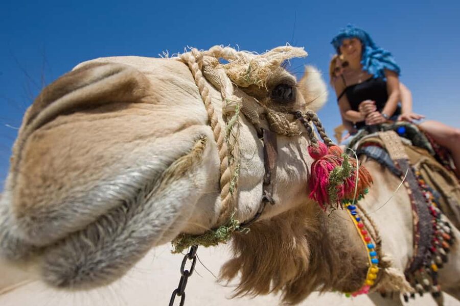 Sharm El-Sheikh: Camel Riding, Stargazing, BBQ Dinner & Show - Leaving Sharm for Wadi-Khrome Valley