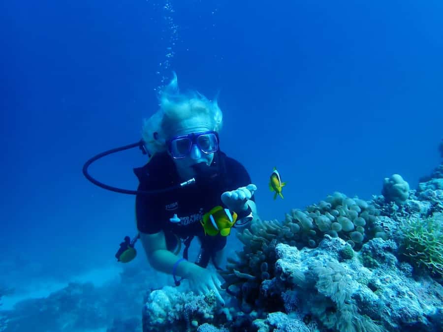 Sharm El Sheikh: Day sail to White island and Ras Mohamed - Sailing out from Watanya Marina