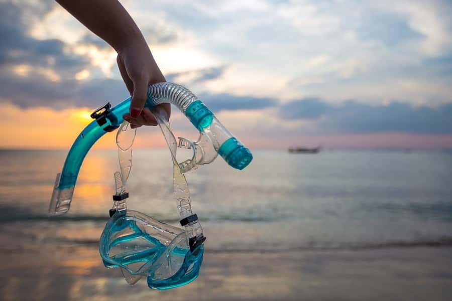 Sharm El Sheikh: Day sail to White island and Ras Mohamed - Ras Mohamed’s reefs are the main event