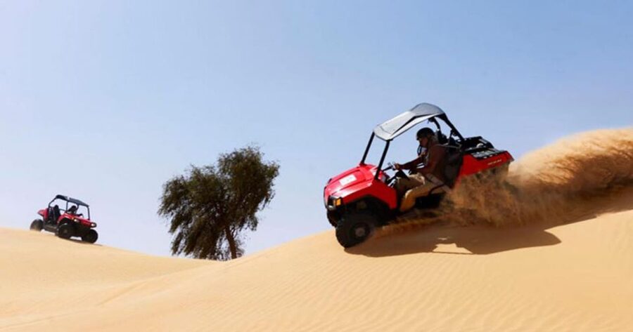 Sharm El-Sheikh: Desert Buggy Safari Adventure - The Bedouin tent and Egyptian tea stop