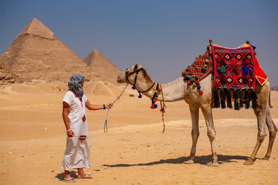 Sharm El-Sheikh: Full-Day Tour of Cairo and Pyramids by Bus - What the guides add to the day
