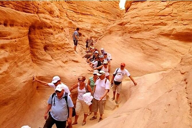 Sharm El-Sheikh: Jeep Adventure to Blue Hole, Canyon & Dahab - Camel riding and quad biking near Dahab