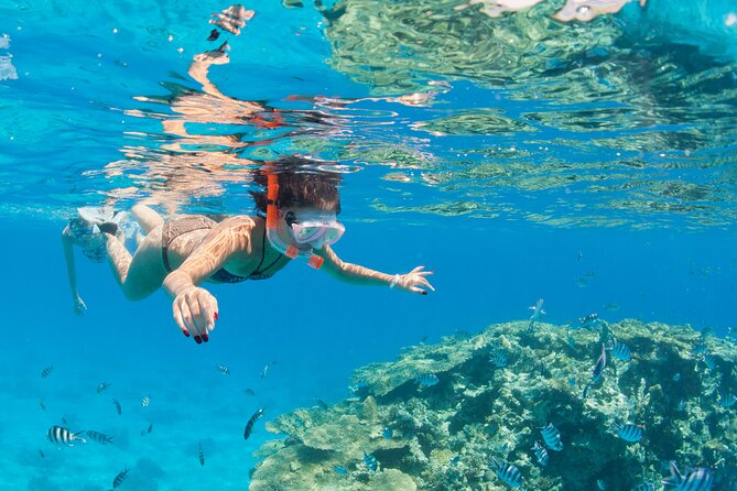 Sharm El-Sheikh: Jeep Adventure to Blue Hole, Canyon & Dahab - Dahab market and the limits of the shopping stop