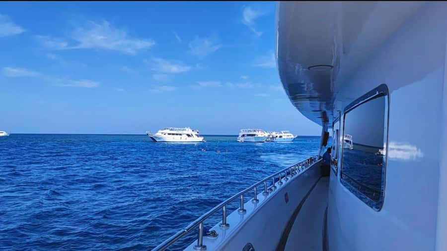 Sharm El-Sheikh: Luxury Ras Mohammed & White Island Cruise - Comfort, weather, and the pace of the day