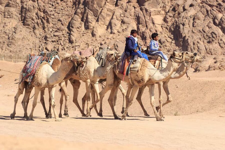 Sharm El-Sheikh: Morning Desert ATV Quad or Buggy Adventure - Riding through the South Sinai desert