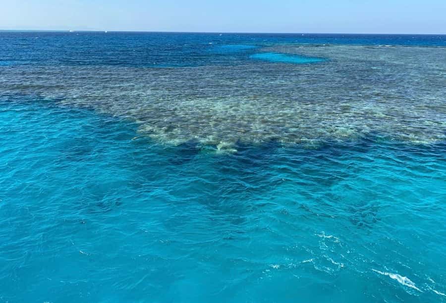 Sharm el-Sheikh: Premium Ras Mohammed & White Island Cruise - The guides are a major part of the experience