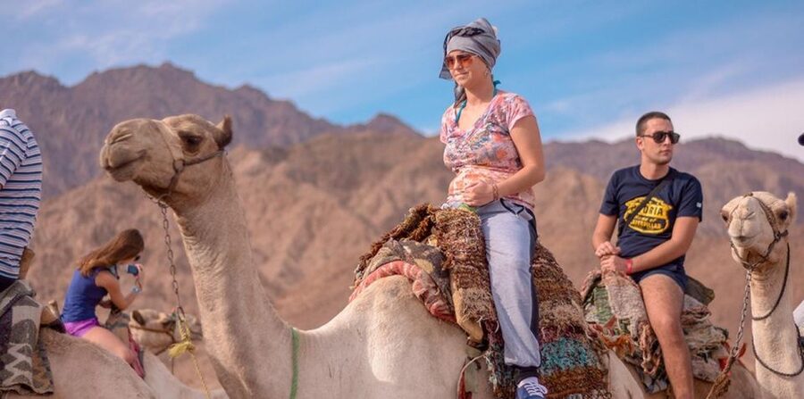 Sharm El Sheikh: Quad bike, Safari, Camel With Dinner & Show - Should you book it?