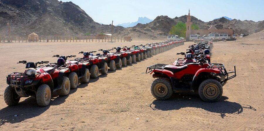 Sharm El Sheikh: Quad bike, Safari, Camel With Dinner & Show - Dinner, stars and the evening show