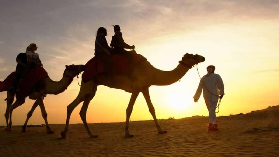 Sharm El Sheikh: Quad Biking, Camel Ride & Bedouin Dinner. - Key points to know before you book