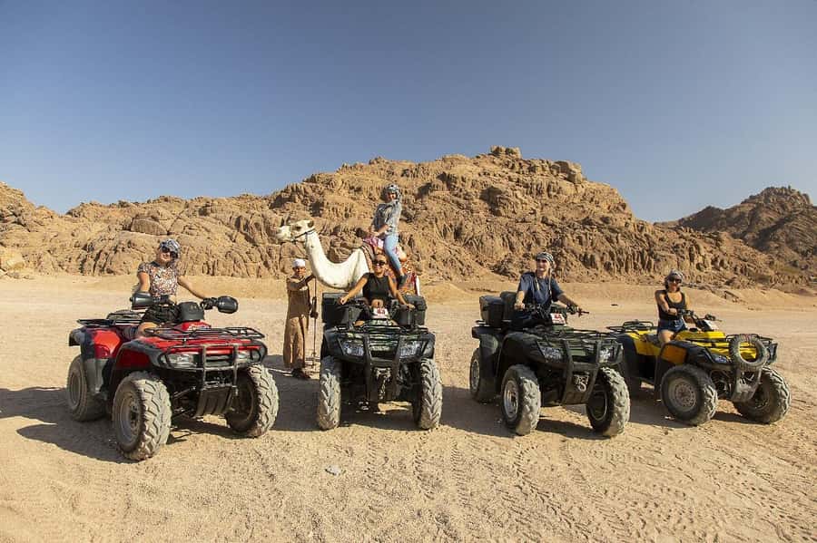 Sharm El Sheikh: Quad Biking & Desert Safari with Pickup - Quick points before you book