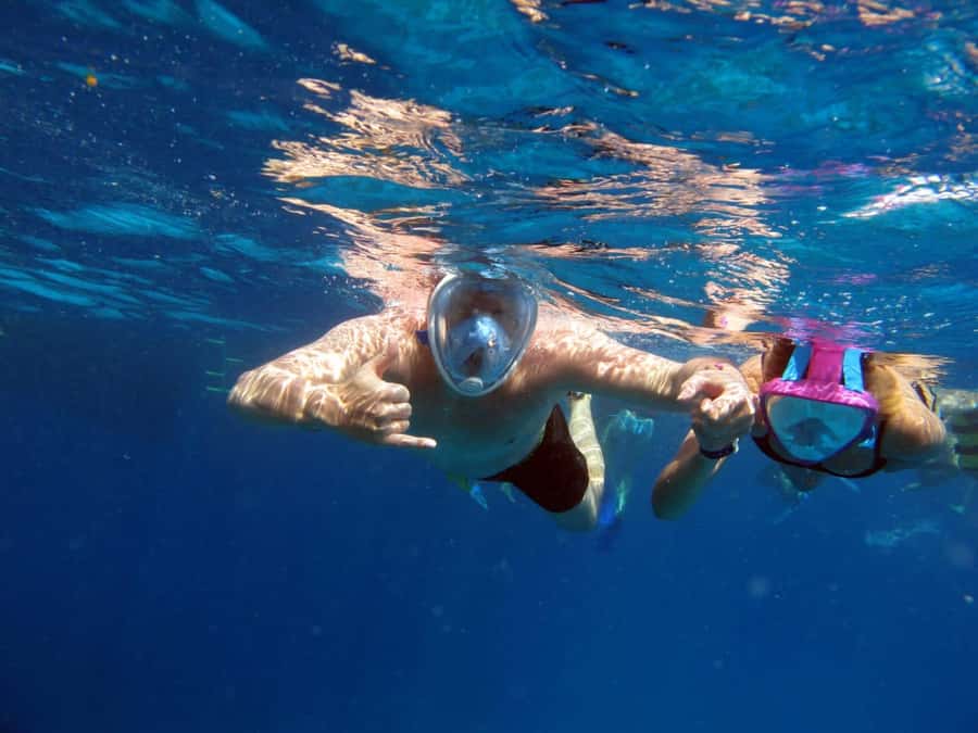 Sharm El Sheikh: Ras Mohamed Cruise with Snorkeling & Lunch - Key points to know before booking
