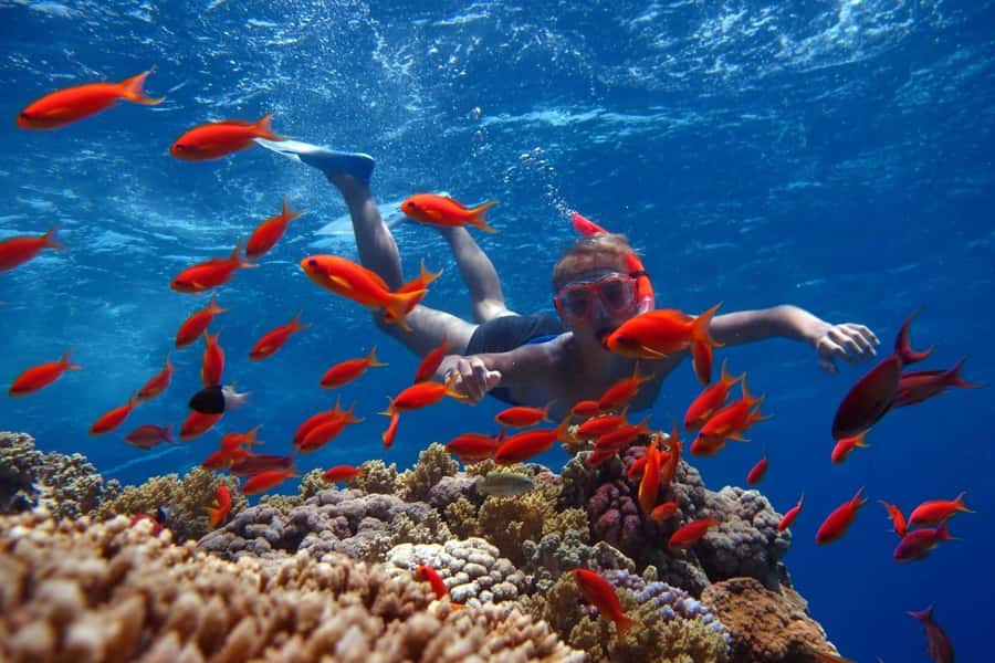Sharm El Sheikh: Ras Mohamed Cruise with Snorkeling & Lunch - The boat ride south to Ras Mohamed