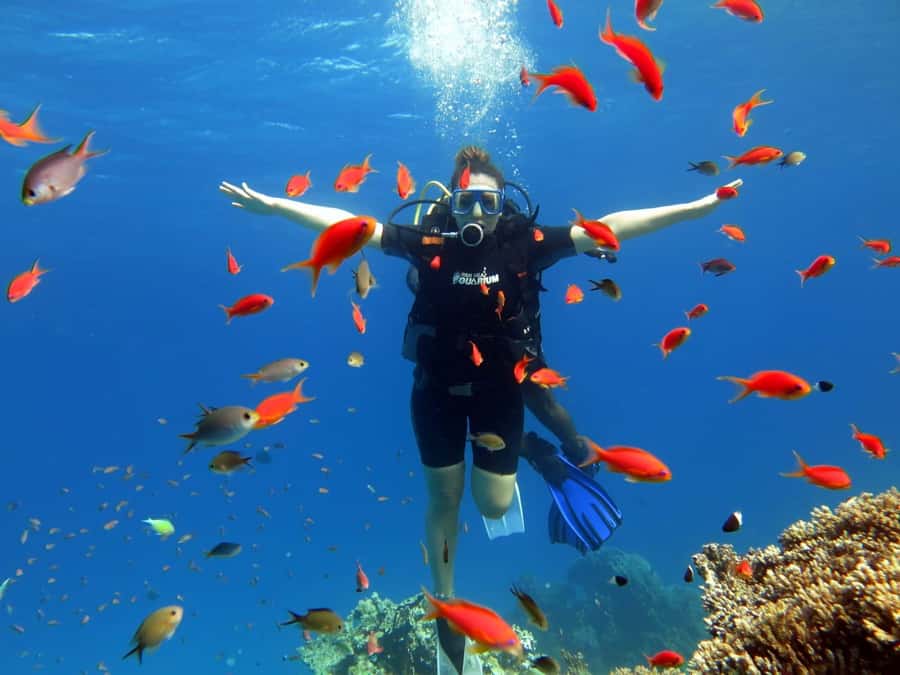 Sharm El Sheikh: Ras Mohamed Cruise with Snorkeling & Lunch - Optional introductory scuba sessions