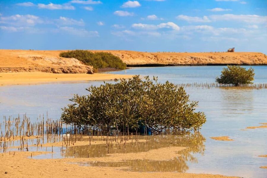 Sharm El-Sheikh: Ras Mohamed Half-Day Tour & Allah's Gate - A short minibus ride from Sharm El-Sheikh