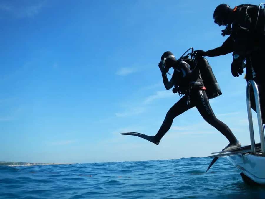 Sharm El Sheikh: Ras Mohamed & White Island Dive & Snorkel - Key details before you book