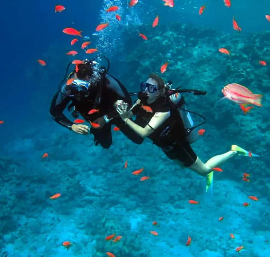 Sharm El Sheikh: Ras Mohamed & White Island Dive & Snorkel - Why Ras Mohamed makes this a worthwhile day