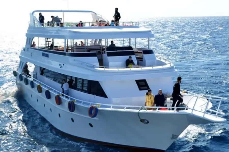 Sharm El Sheikh: Ras Mohamed & White Island Dive & Snorkel - A comfortable yacht with space to spread out