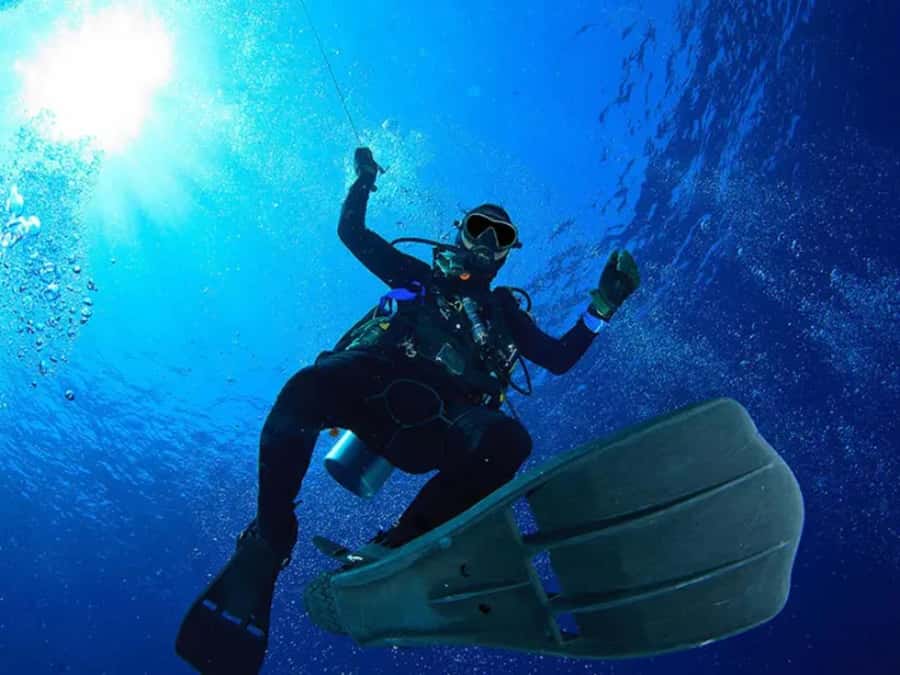 Sharm El Sheikh: Ras Mohamed & White Island Dive & Snorkel - Who will enjoy this trip most
