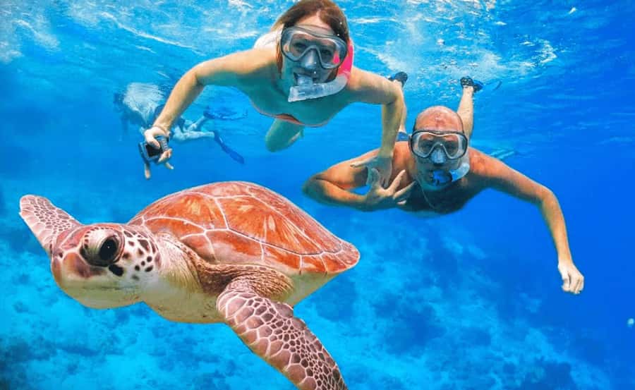 Sharm El Sheikh: Ras Mohamed & White Island Dive & Snorkel - Hotel pickup and the ride to the marina