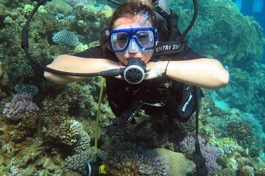 Sharm El Sheikh: Ras Mohamed & White Island Snorkel or Dive - Ras Mohamed by boat, with White Island on the same day