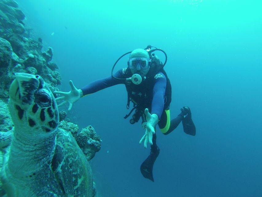 Sharm El Sheikh: Ras Mohamed & White Island Snorkel or Dive - Two reef stops and a practical look at the underwater time