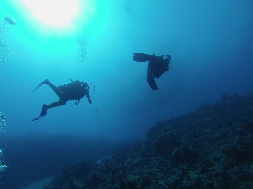 Sharm El Sheikh: Ras Mohamed & White Island Snorkel or Dive - Snorkeling gives you a lower-pressure way to see Ras Mohamed