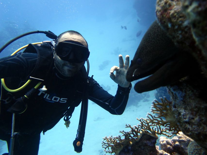 Sharm El Sheikh: Ras Mohamed & White Island Snorkel or Dive - Guides, language, and the beginner experience