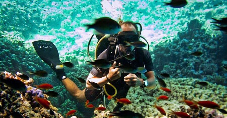 Sharm El Sheikh: Ras Mohamed & White Island Snorkel or Dive - What the morning looks like from hotel pickup to the first stop